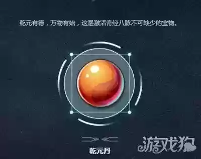 梦幻西游8个旧版乾元丹插图