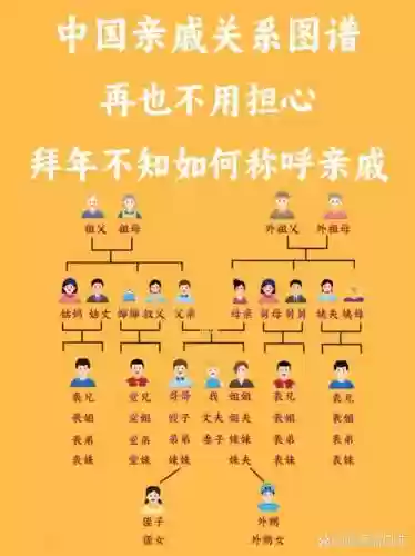 娘家亲戚阵容插图