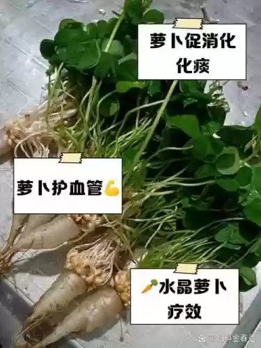 100关水晶萝卜攻略视频插图1