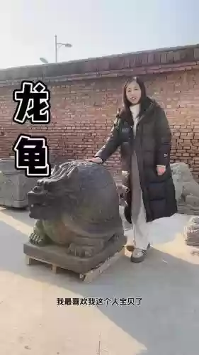 新版龙龟攻略插图