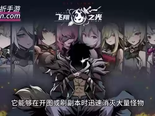 飞翔之光阵容搭配插图