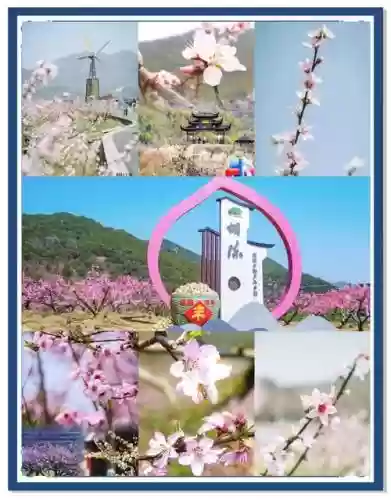 桃园游玩攻略插图