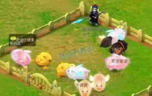 梦幻西游猪猪小侠是绝版祥瑞么_1插图