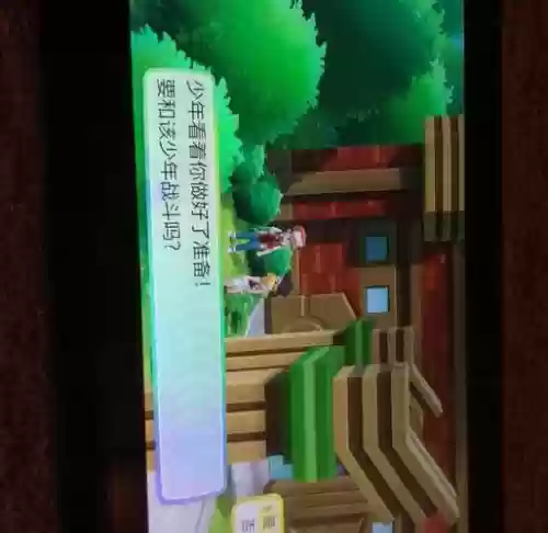 精灵宝可梦究极太阳二周目攻略插图1