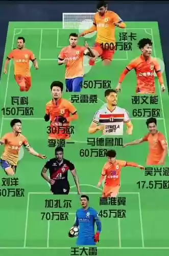 山东外援阵容插图