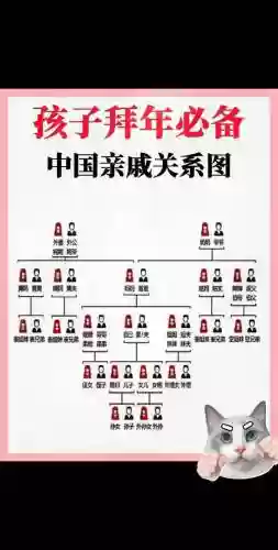 娘家亲戚阵容插图1