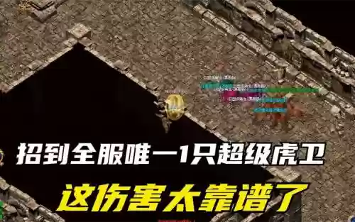 热血虎卫最强装备插图1