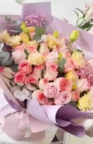 玫瑰搭配什么阵容插图1
