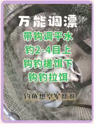 舰r钓鱼技能是什么意思插图