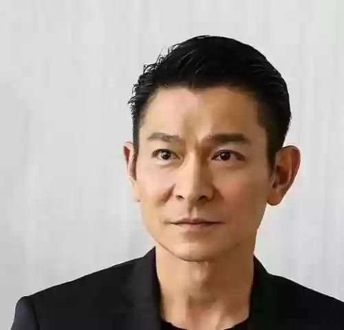 越南刘德华阵容插图1