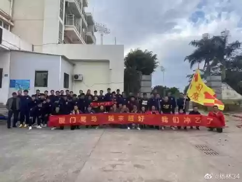 厦门鹭岛阵容插图
