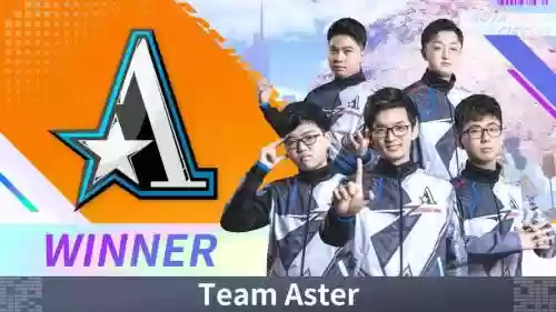 aster夺冠阵容插图