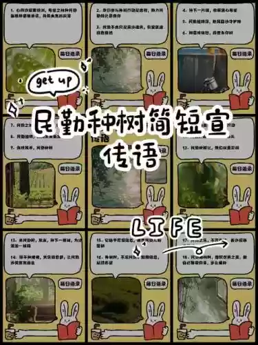 领地人生木匠技能，领地人生怎么种树插图1