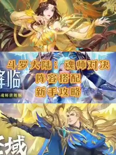 斗罗大陆打肉阵容搭配，斗罗大陆肉盾哪个最好插图1
