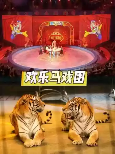 欢乐马戏团攻略，欢乐马戏团攻略大全插图1
