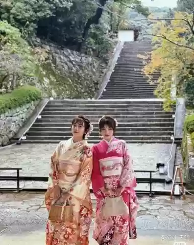 白和服高连击阵容搭配插图
