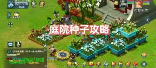 梦幻西游怎么买花圃，梦幻西游花圃在哪买插图