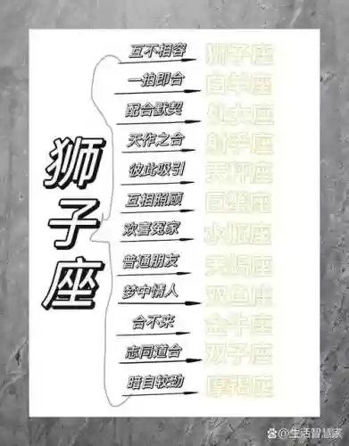 狮子座搭配阵容，狮子座完美搭配插图