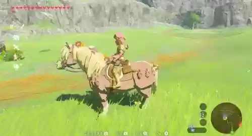 塞尔达如何给马穿装备，塞尔达怎么给马穿装备插图1