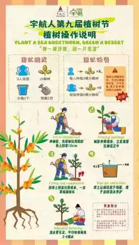 领地人生木匠技能，领地人生怎么种树插图