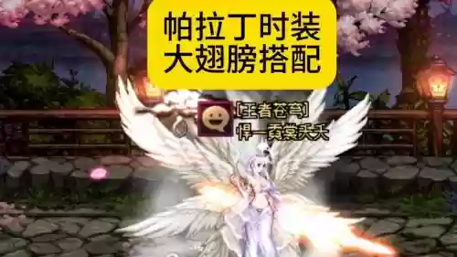 dnf帕拉丁异界装备，dnf帕拉丁装扮选择