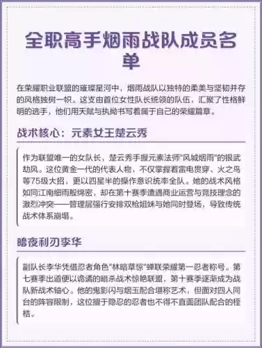 烟雨战队阵容搭配，烟雨战队在哪个市插图