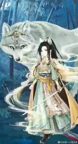 梦幻西游手游奎木狼和百花羞，梦幻西游手游 百花羞插图
