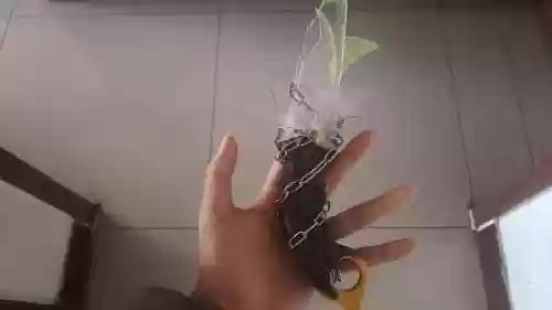 自制武器没残影插图1