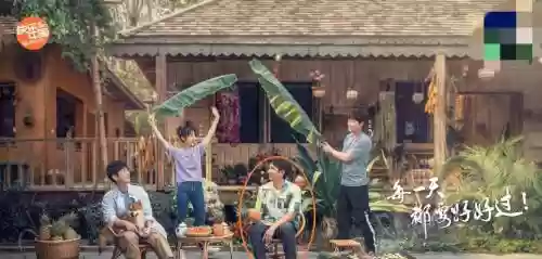 向往生活4最强阵容搭配，向往生活四什么时候播出插图1