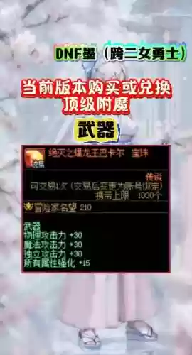 dnf加暴走的装备都有啥，dnf100级加暴走技能的宝珠有哪些插图1
