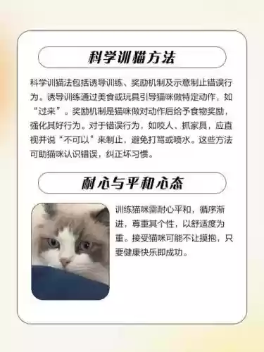 世界猫技能，世界猫怎么驯服插图