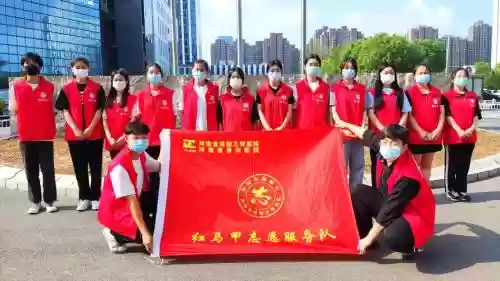 志愿者阵容搭配思路，志愿者loho插图1