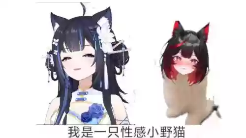 ro手游猫的技能加点，ro宠物技能插图