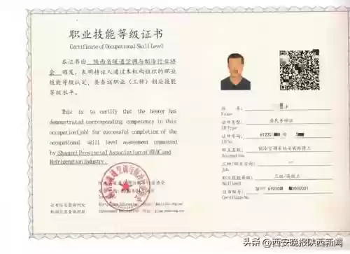 使用公共技能，公共技能证书插图1
