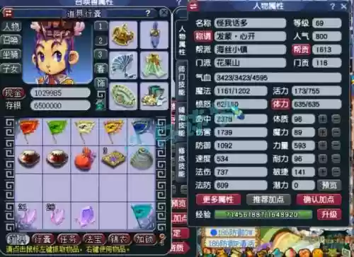 梦幻西游69花果山符石搭配，69花果山符石选择插图