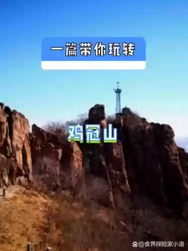 到家2鸡冠山视频攻略插图