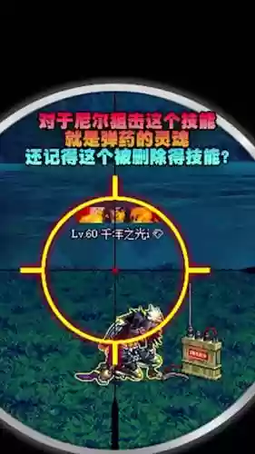 尼尔狙击技能效果，尼尔狙击换成什么技能了插图