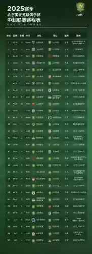 2019国安亚冠阵容搭配，2019国安赛程插图