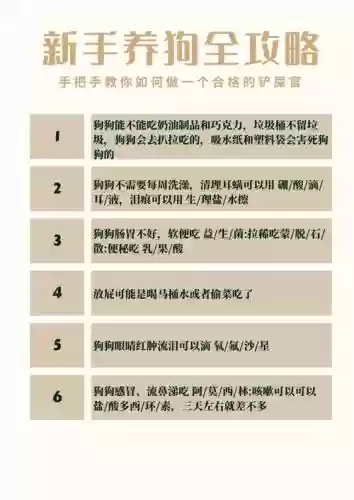 狗子攻略100%，狗子第十层攻略插图1
