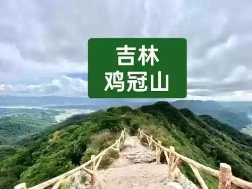 到家2鸡冠山视频攻略插图1