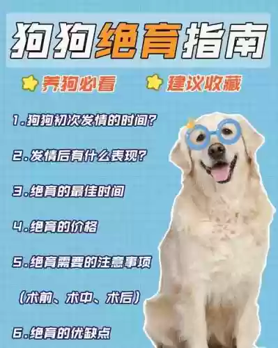 狗子攻略100%，狗子第十层攻略插图