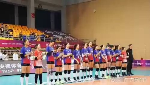 女排阵容搭配，女排布阵