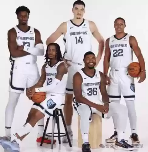 2018赛季灰熊阵容搭配,1718灰熊阵容插图 2018赛季灰熊阵容搭配,1718灰熊阵容插图