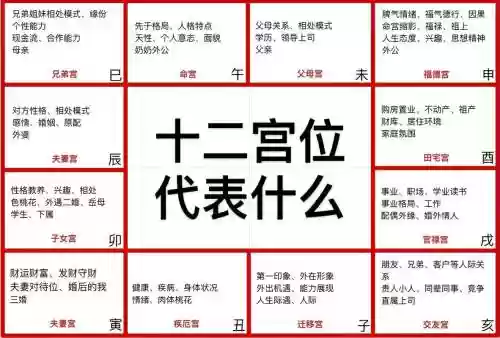 十二宫猪狗攻略，十二宫介绍